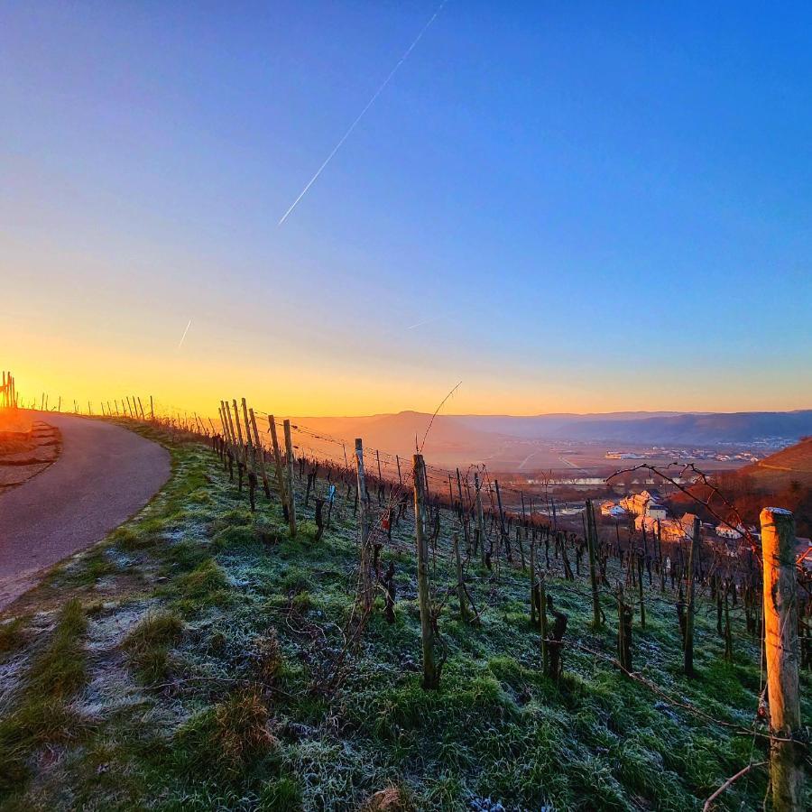 Ferienwohnung An Der Mosel Konz Zewnętrze zdjęcie
